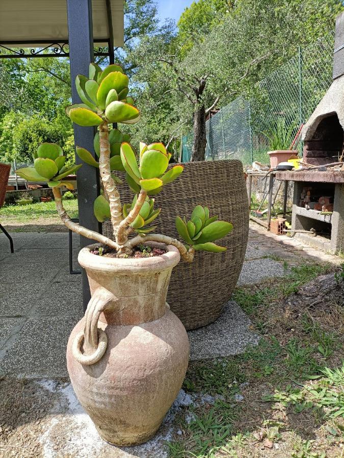 Locazione Turistica La Gesualda Apartment กาสเตลนัวโว มากรา ภายนอก รูปภาพ