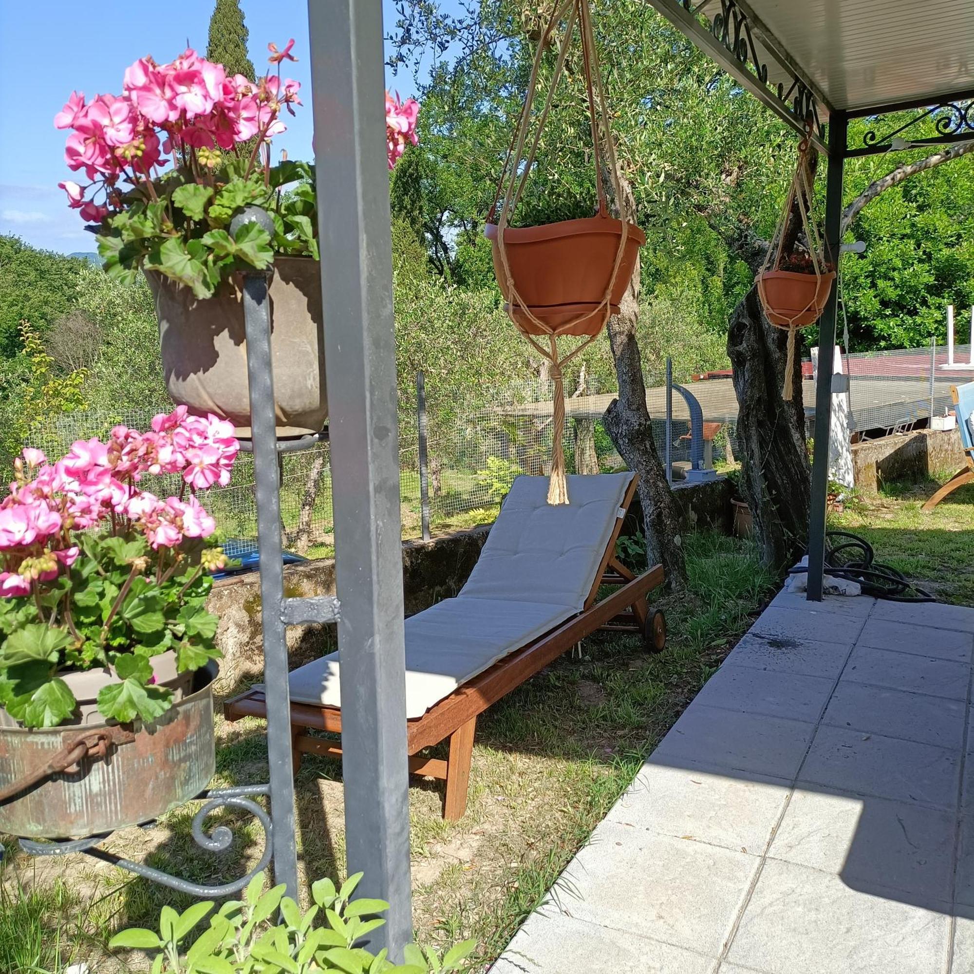 Locazione Turistica La Gesualda Apartment กาสเตลนัวโว มากรา ภายนอก รูปภาพ